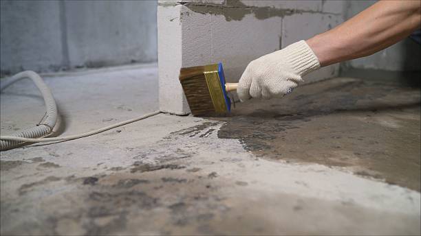 SJ Waterproofing Pros Waterproofing coverage map for Annandale, MN and surrounding area